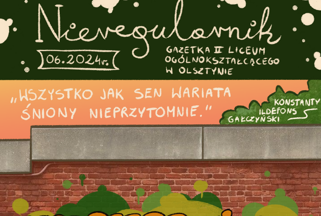 grafika Nieregularnik okładka